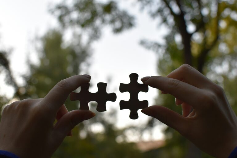 Vardan Papikyan JzE1dHEaAew Unsplash